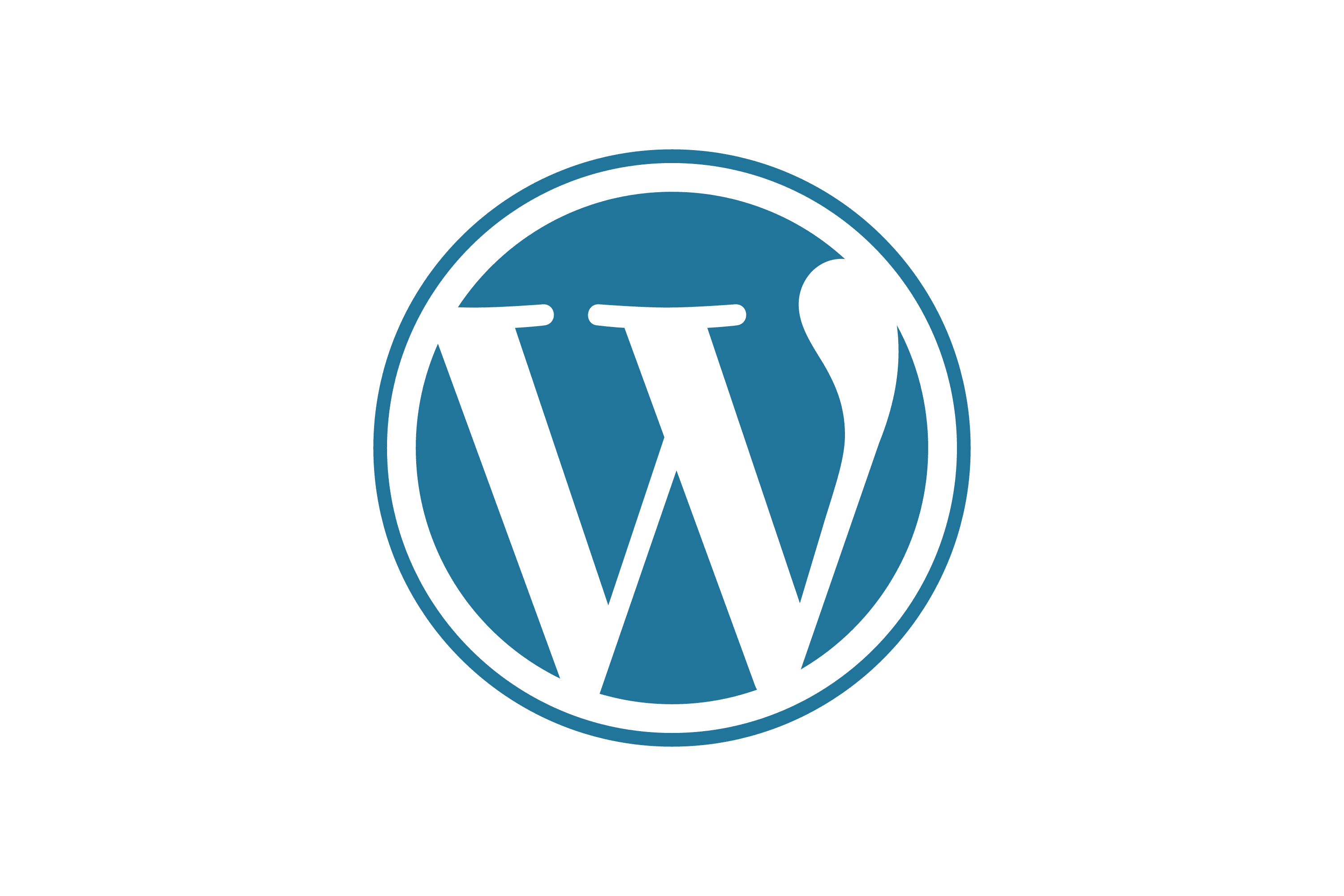 WordPress